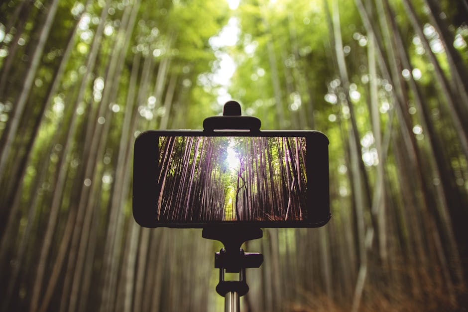 H1: Os #11 Melhores Paus De Selfie De 2025 - Qual Escolher?